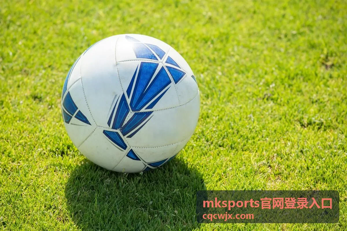 mksports官网登录入口验证码接收设置图示