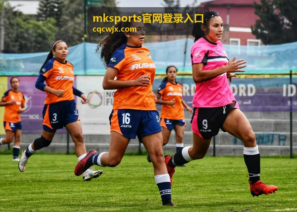 mksports官网登录入口浏览器缓存清理图示